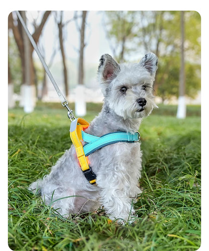 Dog Harness No Pull T-Shape Breathable Spring Summer