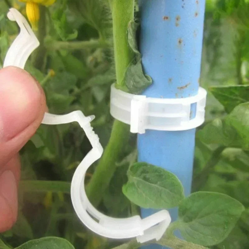 Plant Support Clips Reusable Plastic Connects Vine