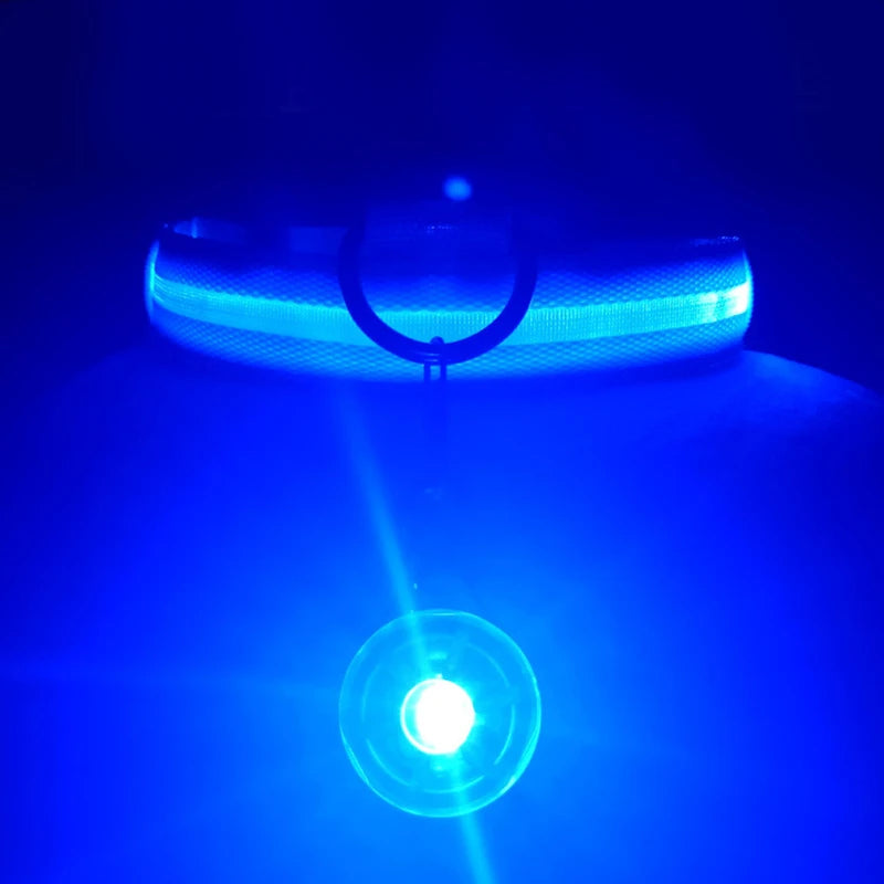 Usb Charging Glowing Dog Collar With Pendant Detachable