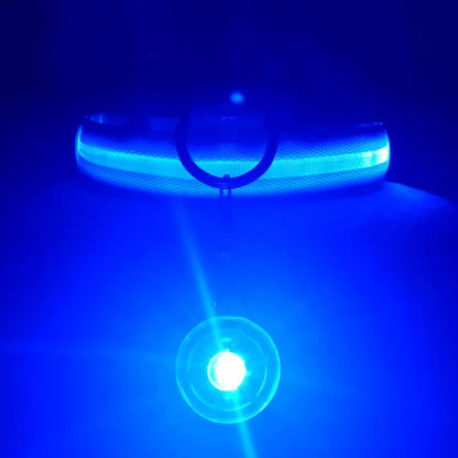 Usb Charging Glowing Dog Collar With Pendant Detachable