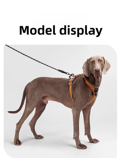 Car Safety Dog Harness with Dual Handle Quick Release