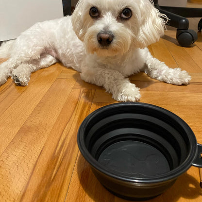 Collapsible Pet Silicone Dog Food Water Bowl Outdoor