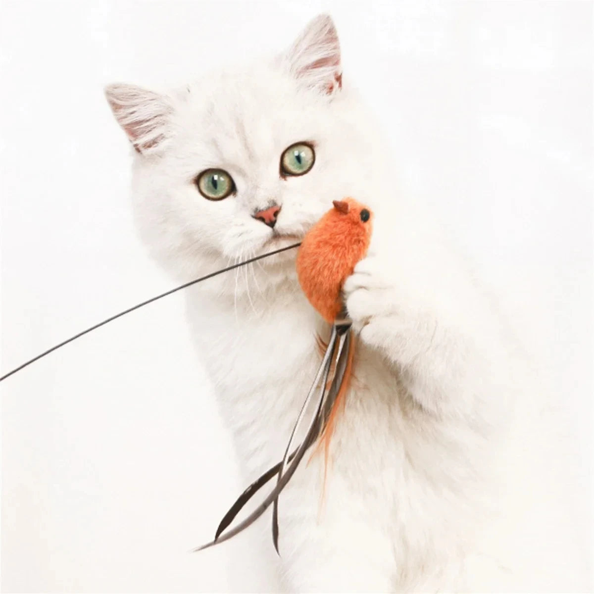 Simulated Bird Cat Toys Upgraded Epoxy Sucker Steel Wire