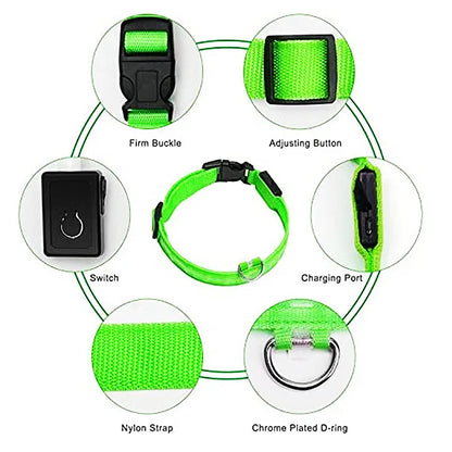 Usb Charging Glowing Dog Collar With Pendant Detachable