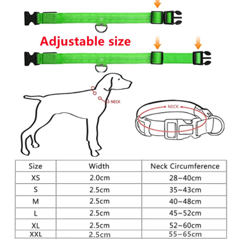 Usb Charging Glowing Dog Collar With Pendant Detachable