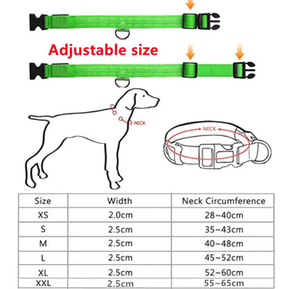 Usb Charging Glowing Dog Collar With Pendant Detachable