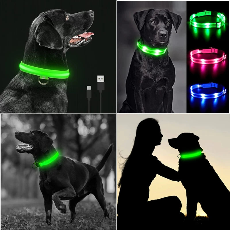 Usb Charging Glowing Dog Collar With Pendant Detachable