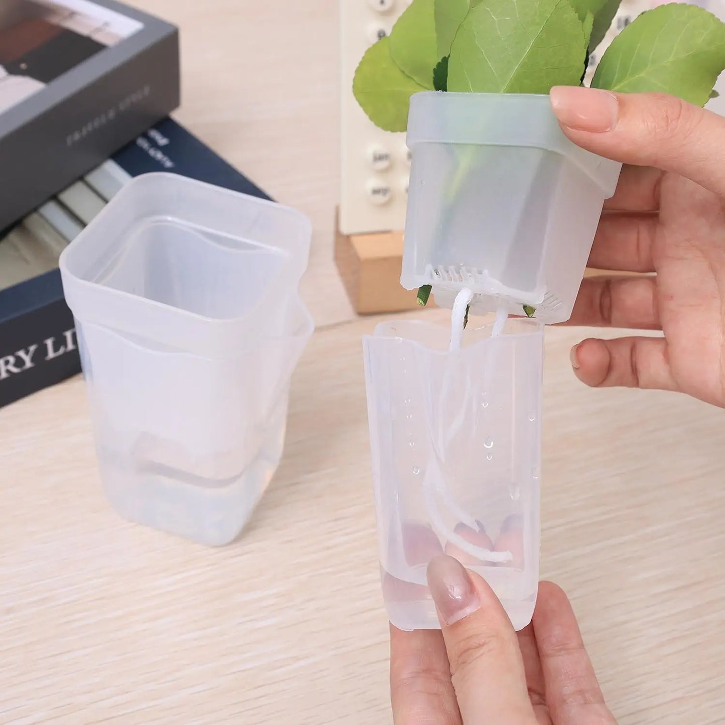 Transparent Flower Plant Pot Self Watering Planter