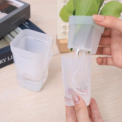 Transparent Flower Plant Pot Self Watering Planter
