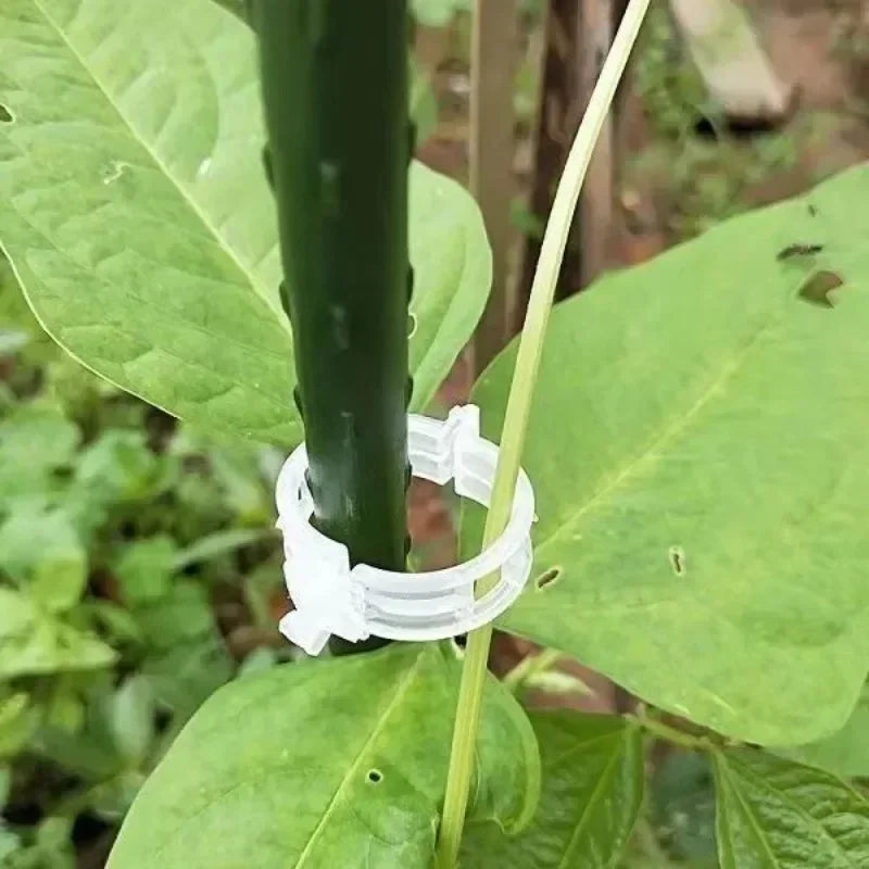 Plant Support Clips Reusable Plastic Connects Vine