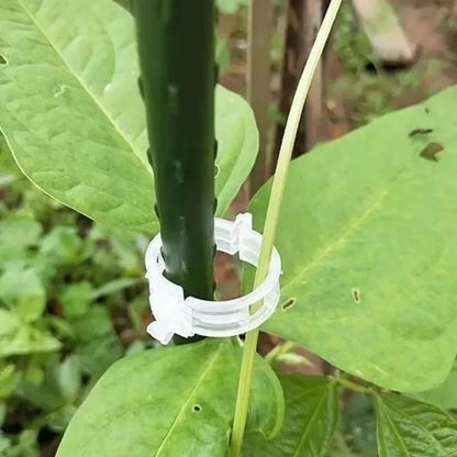 Plant Support Clips Reusable Plastic Connects Vine