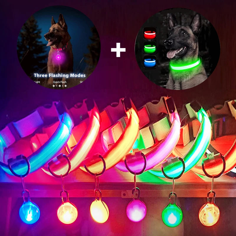 Usb Charging Glowing Dog Collar With Pendant Detachable