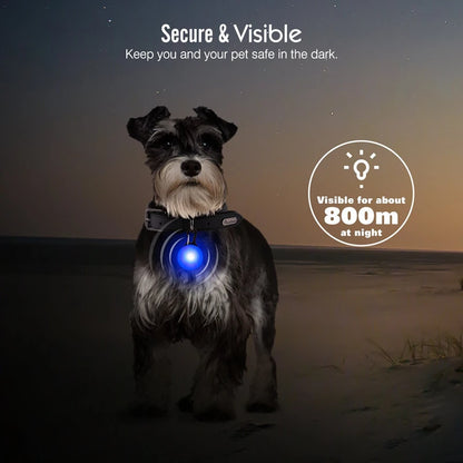 Usb Charging Glowing Dog Collar With Pendant Detachable