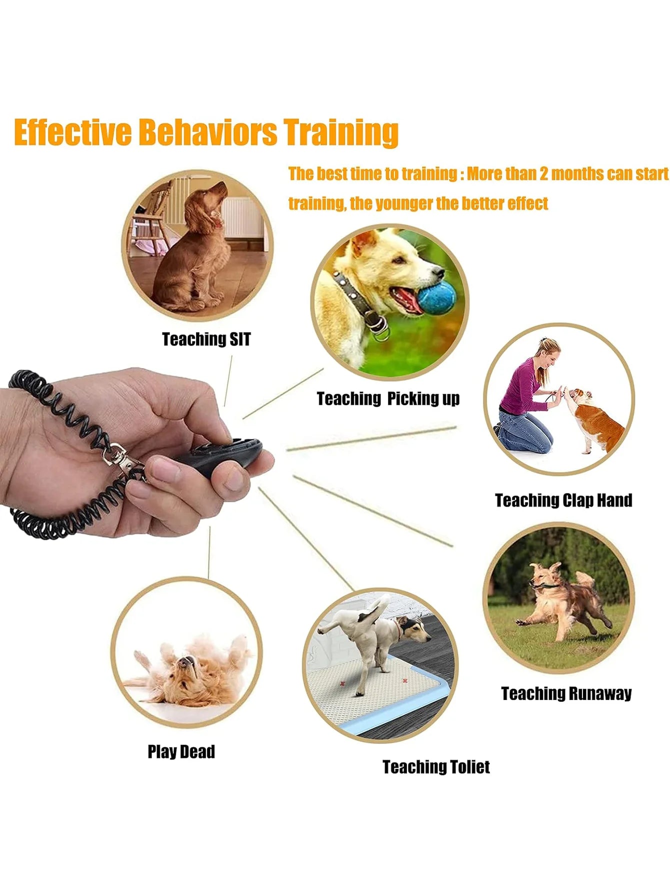 Dog Training Clicker with Wrist Strap