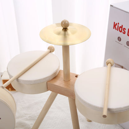 Kids Drum Set Musical Toys for Boy Girl Music Toys