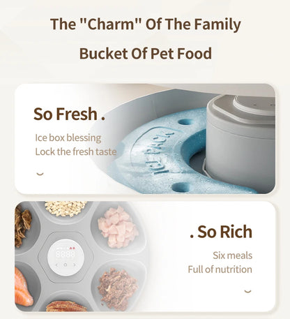 6 Meals Automatic Pet Feeder Smart Cat Food Dispenser