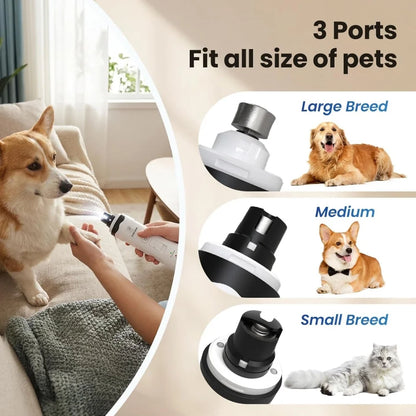 New Dog Nail Clippers With LED Light
