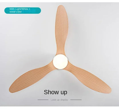 Modern LED Ceiling Fan Lights, Low Floor Decorative Lights