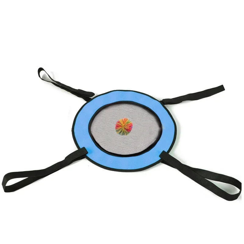 Two Person Interactive Throwing And Catching Game