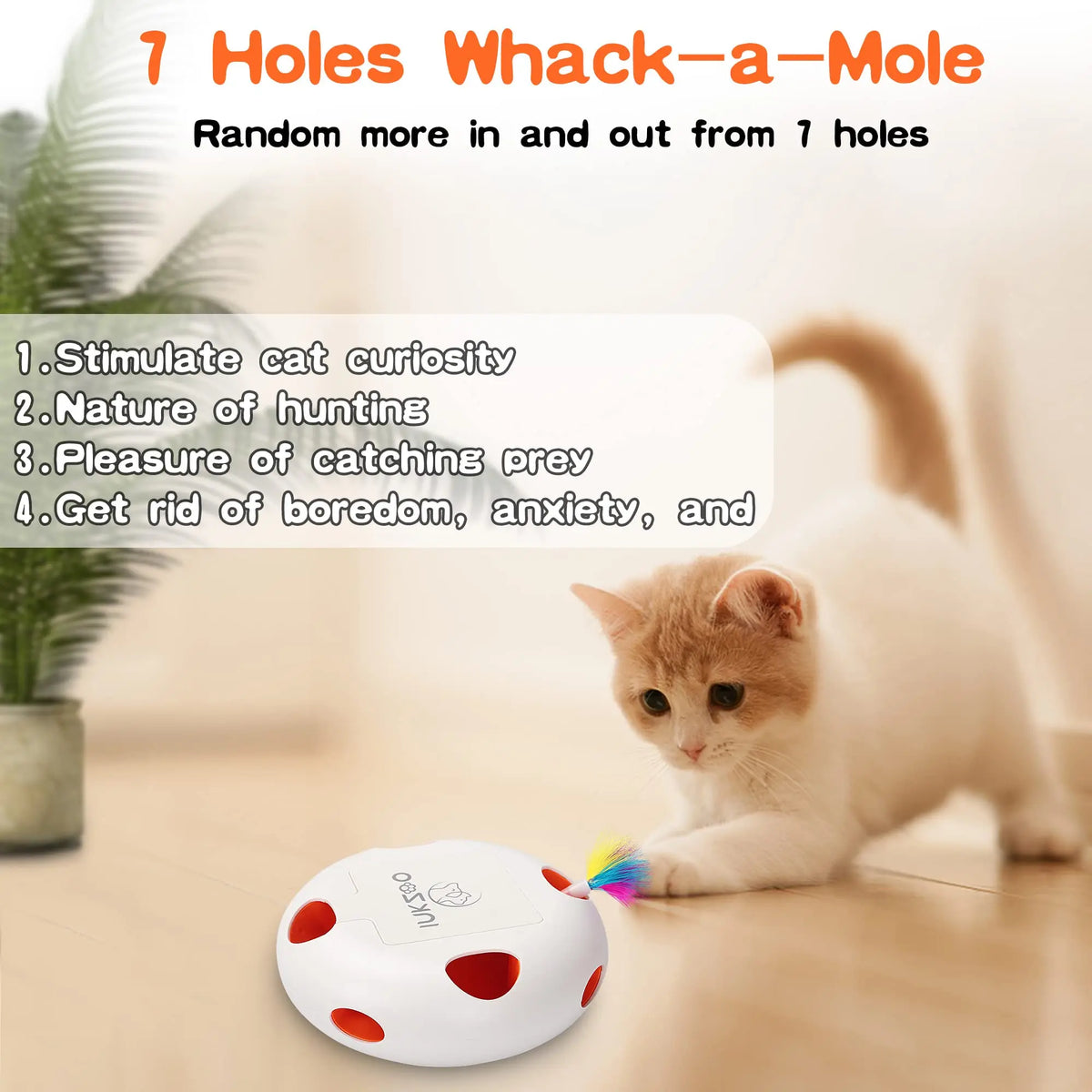 INKZOO Cat Toys, Interactive Cat Toys for Indoor Cats,