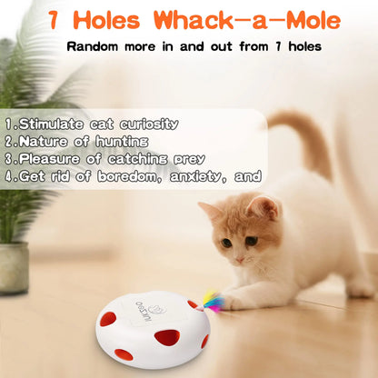 INKZOO Cat Toys, Interactive Cat Toys for Indoor Cats,