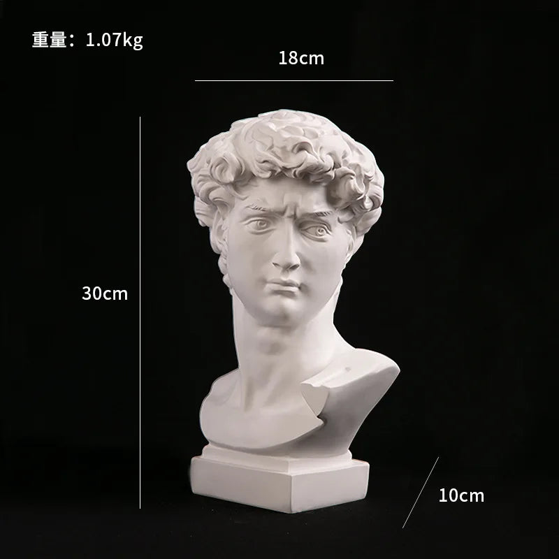 Home Decoration David Head Resin Statues Statues