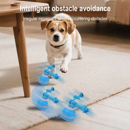 Cat Dog Interactive Ball Toy Automatic Rolling Ball
