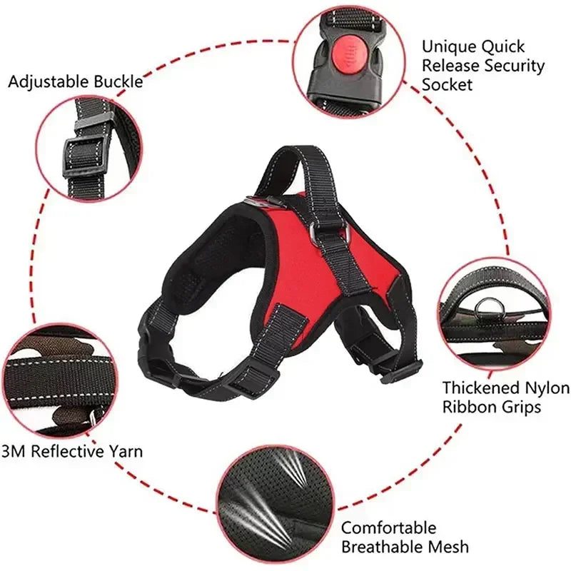 Adjustable Dog Harness Leash Set Chest Strap