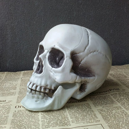 Halloween Skull Decoration,Realistic Plastic Skull,Head Skeleton
