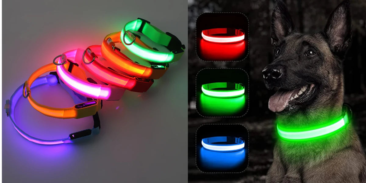 Usb Charging Glowing Dog Collar With Pendant Detachable