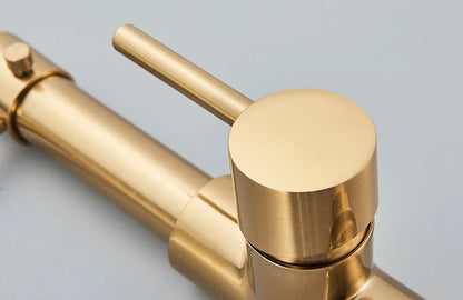 Brushed Gold Kitchen Faucet Pull Down 2-way Spray Single
