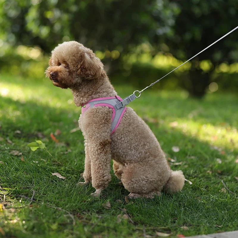 Puppy Harness Set Dog Accessories Adjustable Harness