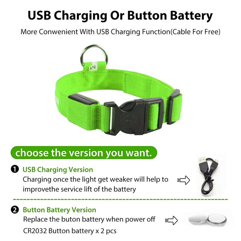 Usb Charging Glowing Dog Collar With Pendant Detachable