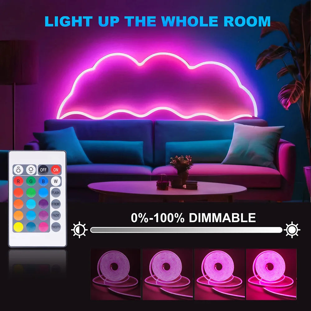 5V USB RGB LED Neon Strip Light 24key Remote Control