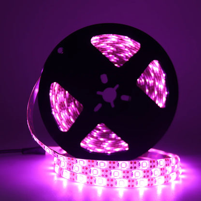 5V 2835 LED Strip Light 2835 60Leds/m Flexible Fita Led Tape