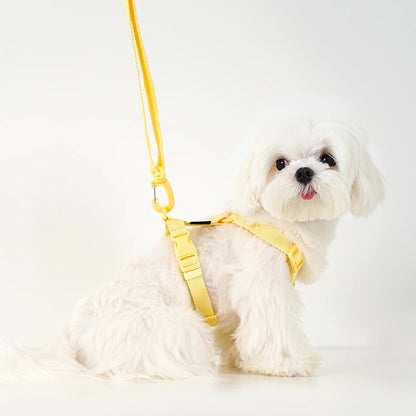 Adjustable Dog Harness Collar Leash Set Macarone Color