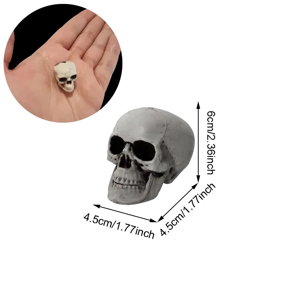 Halloween Skull Decoration,Realistic Plastic Skull,Head Skeleton