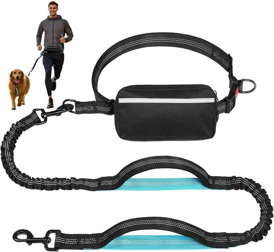 Free Dog Leash with Zipper Pouch Dual Padded Handles