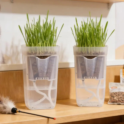 Transparent Flower Plant Pot Self Watering Planter