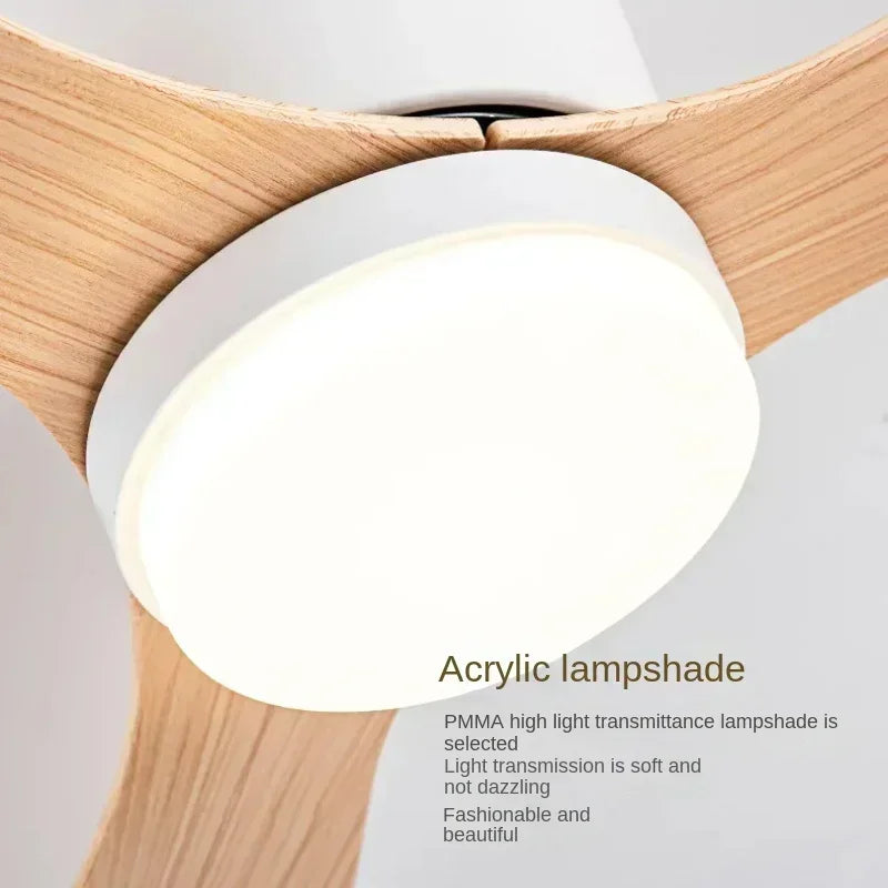 Modern LED Ceiling Fan Lights, Low Floor Decorative Lights
