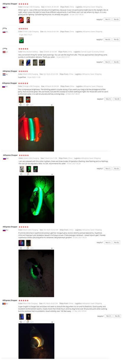 Usb Charging Glowing Dog Collar With Pendant Detachable