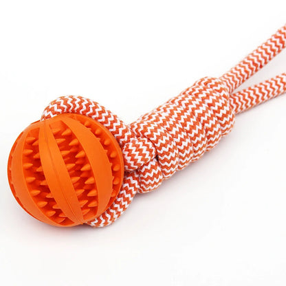 Pet Tooth Cleaning Pet Ball Toy with Rope Rubber Leaking Balls