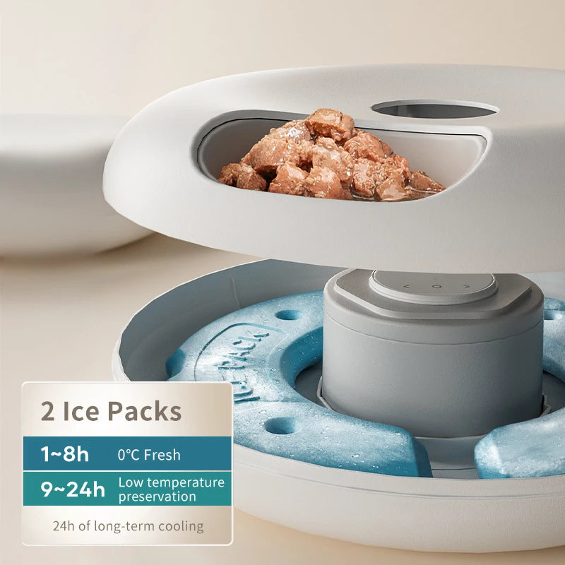 6 Meals Automatic Pet Feeder Smart Cat Food Dispenser