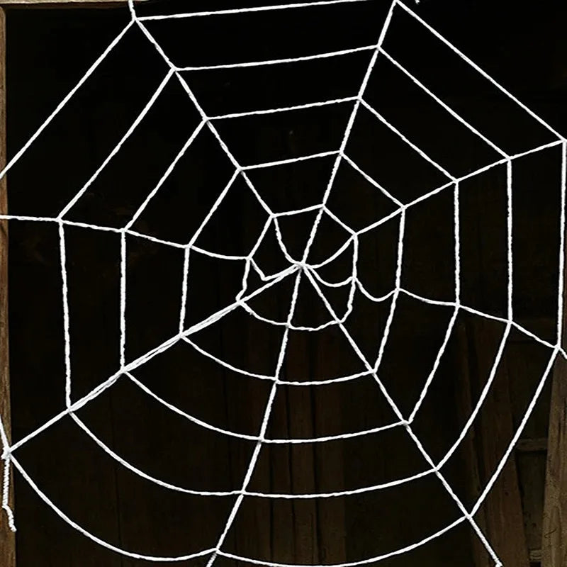 Giant Spider Huge Spider Web Halloween