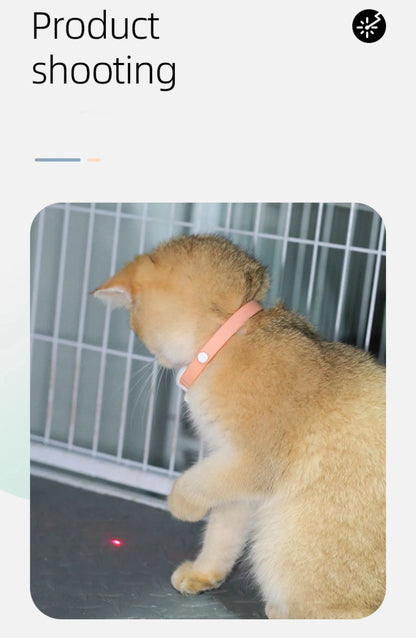 Laser Cat Collar Teasing Cat Electric USB Charging Kitten