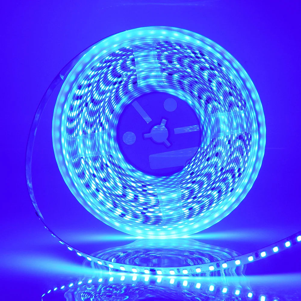 5m 10m 20m 50m LED Strip Light AC 220V 230V 240V IP55