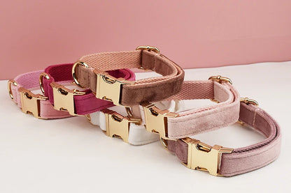 Velvet Collar Free Engrave Dog Collar Leash Dog Collars