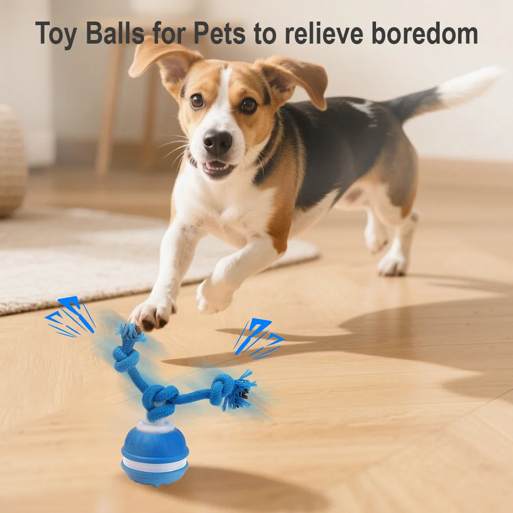 Cat Dog Interactive Ball Toy Automatic Rolling Ball