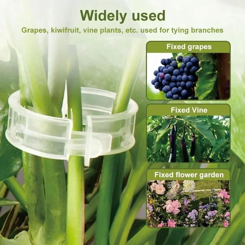 Plant Support Clips Reusable Plastic Connects Vine