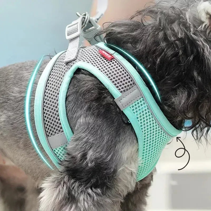 Puppy Harness Set Dog Accessories Adjustable Harness